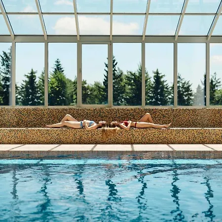 Pohorje Village Wellbeing - Family Bolfenk Hocko Pohorje