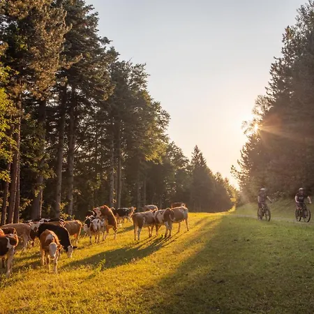 Pohorje Village Wellbeing - Family Bolfenk * Hočko Pohorje