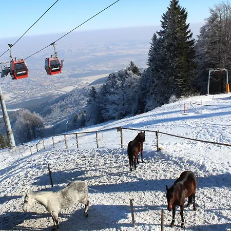 Pohorje Village Wellbeing - Family Bolfenk Apartment *