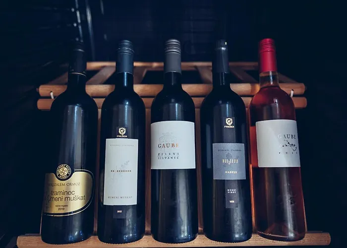 Apartament Pohorje Village Wellbeing - Family Bolfenk